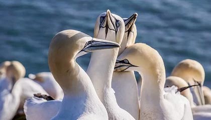 丹东伴游，定制QQ：3494206190微信：act1322